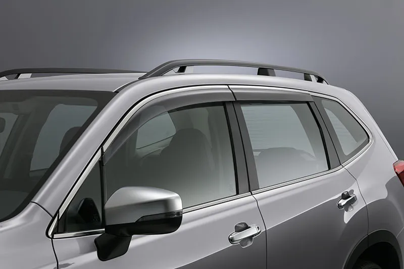 Door visor chrome moulding