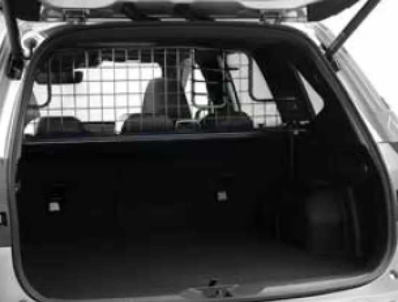 Luggage Divider