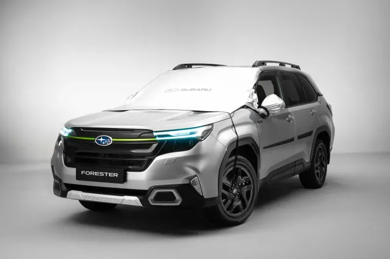 Priekinio stiklo uždangalas