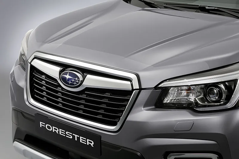 Bonnet protection foil