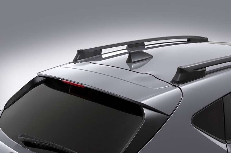 Subaru Crosstrek stogas su ryklio peleką primenančia antena ir tvirtomis stogo bėgelėmis.