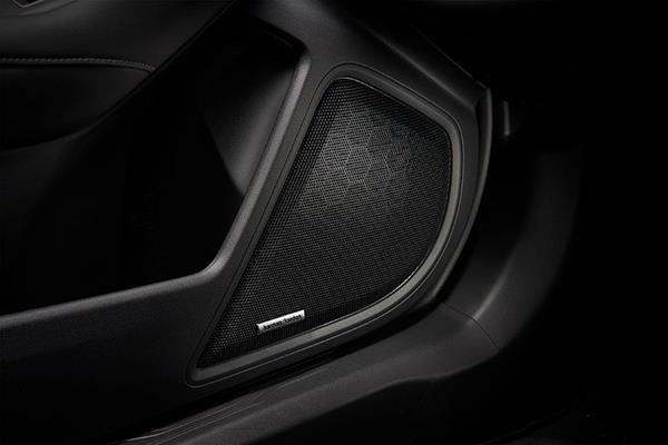 Garsiakalbis, integruotas į Subaru priekinės durų panelės apdailą.